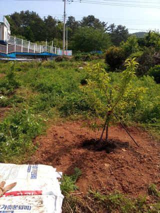 이미숙님의 자유주제 · 사진전 작성글 사진