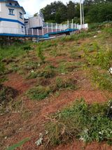 팜모닝 자유주제·자유게시판 게시글 이미지