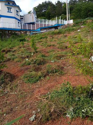 이미숙님의 자유주제 · 자유게시판 작성글 사진