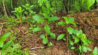 조경선님의 자유주제 · 자유게시판 작성글 사진