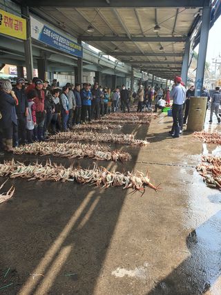 λ
Έκ°λ€μμ°λμ μ°λ¦¬λλ€ Β· λλ€μ 보 μμ±κΈ μ¬μ§