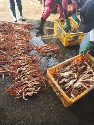 λ
Έκ°λ€μμ°λμ μ°λ¦¬λλ€ Β· λλ€μ 보 μμ±κΈ μ¬μ§