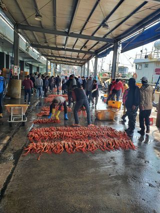 λ
Έκ°λ€μμ°λμ μ°λ¦¬λλ€ Β· λλ€μ 보 μμ±κΈ μ¬μ§