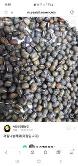 팜모닝 자유주제·자유게시판 게시글 이미지