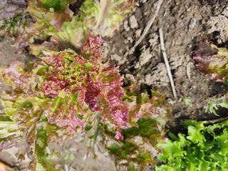 최영희님의 자유주제 · 사진전 작성글 사진