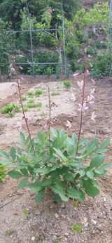 팜모닝 자유주제·자유게시판 게시글 이미지