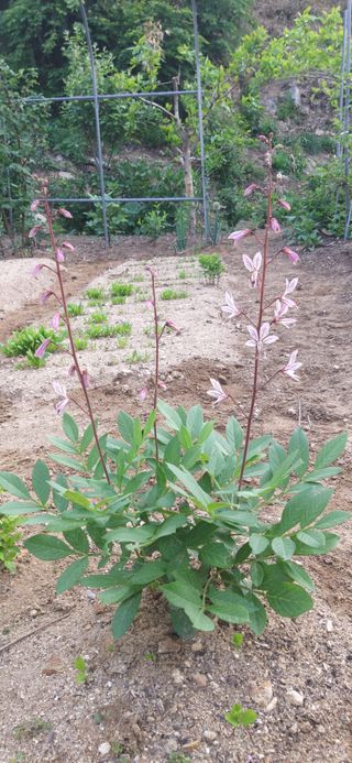 김해숙님의 자유주제 · 자유게시판 작성글 사진