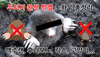 알 수 없음님의 팜모닝공식 · 농사정보 작성글 사진