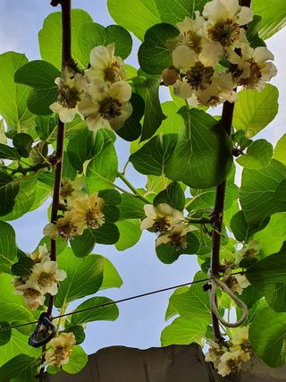 귀연님의 우리동네 · 동네자랑 작성글 사진