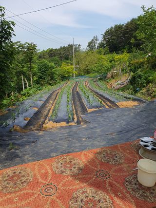 주*희님의 자유주제 · 자유게시판 작성글 사진