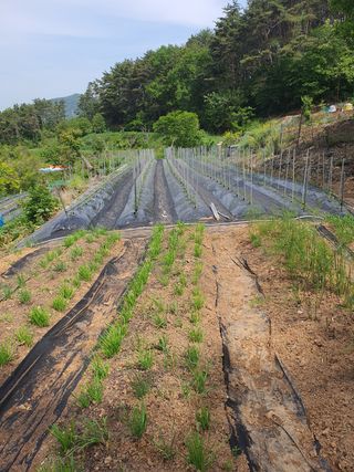주*희님의 자유주제 · 자유게시판 작성글 사진