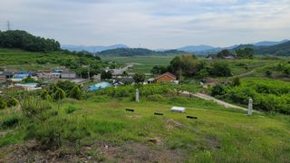 빈현린님의 감 · 자유게시판 작성글 사진