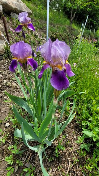 빈현린님의 감 · 자유게시판 작성글 사진