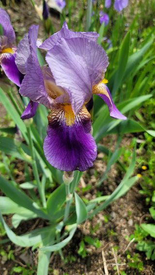 빈현린님의 감 · 자유게시판 작성글 사진