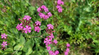 빈현린님의 감 · 자유게시판 작성글 사진
