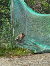 팜모닝 자유주제·자유게시판 게시글 이미지