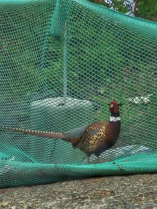 이영재님의 자유주제 · 자유게시판 작성글 사진