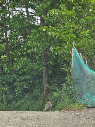 이영재님의 자유주제 · 자유게시판 작성글 사진