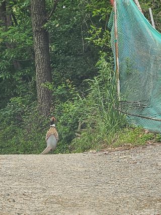 이영재님의 자유주제 · 자유게시판 작성글 사진