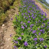 팜모닝 자유주제·자유게시판 게시글 이미지