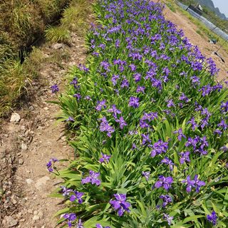 박수연님의 자유주제 · 자유게시판 작성글 사진