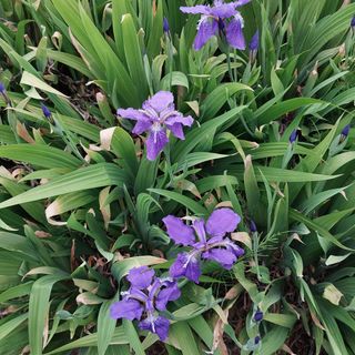 박수연님의 자유주제 · 자유게시판 작성글 사진