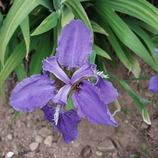 박수연님의 자유주제 · 자유게시판 작성글 사진