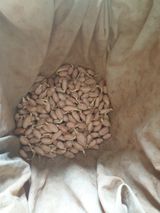 팜모닝 자유주제·자유게시판 게시글 이미지