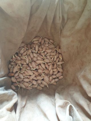 박명흠 님의 자유주제 · 자유게시판 작성글 사진