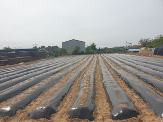 박명흠 님의 자유주제 · 자유게시판 작성글 사진