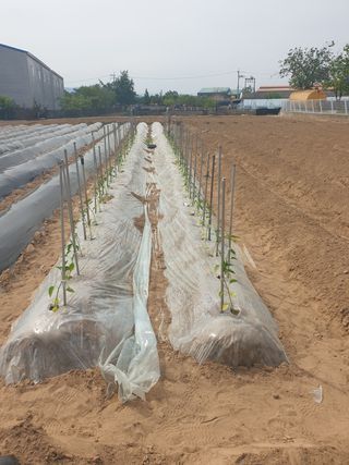 박명흠 님의 자유주제 · 자유게시판 작성글 사진