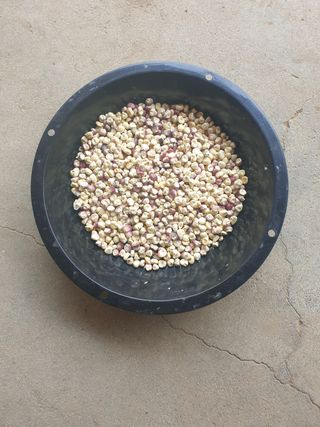 박명흠 님의 자유주제 · 자유게시판 작성글 사진