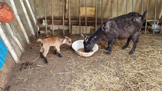 황인동님의 버섯 · 일상 작성글 사진