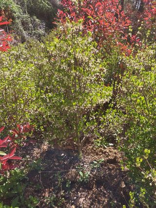 양복연님의 작성글 사진