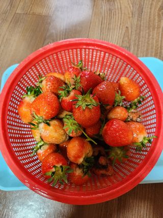 알 수 없음님의 자유주제 · 자유게시판 작성글 사진
