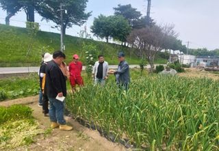 정진해님의 기타작물 · 자유게시판 작성글 사진