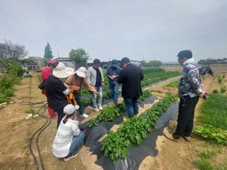 정진해님의 기타작물 · 자유게시판 작성글 사진