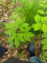 팜모닝 · 게시글 이미지