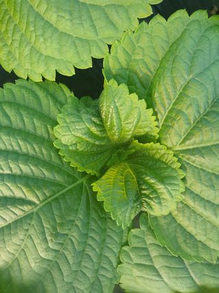 진근영님의 자유주제 · 자유게시판 작성글 사진