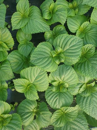 진근영님의 자유주제 · 자유게시판 작성글 사진