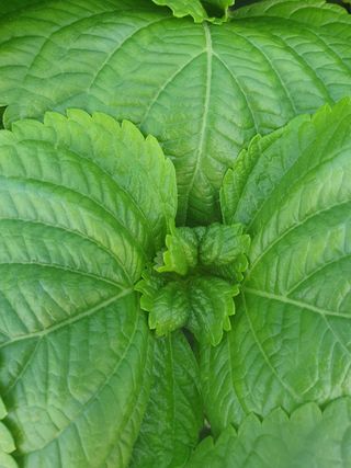 진근영님의 자유주제 · 자유게시판 작성글 사진