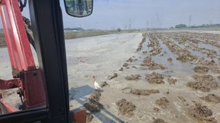 김응균님의 벼 · 자유게시판 작성글 사진