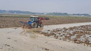 김응균님의 벼 · 자유게시판 작성글 사진