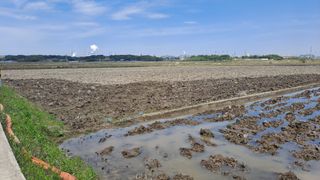 김응균님의 벼 · 자유게시판 작성글 사진