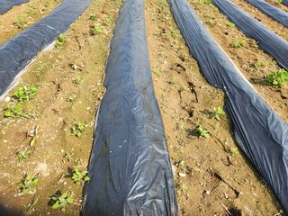 HYUN님의 참깨 · 자유게시판 작성글 사진