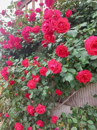 김년욱님의 자유주제 · 자유게시판 작성글 사진