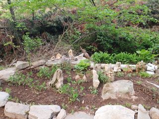 인생은 소풍처럼님의 토마토 · 일상 작성글 사진