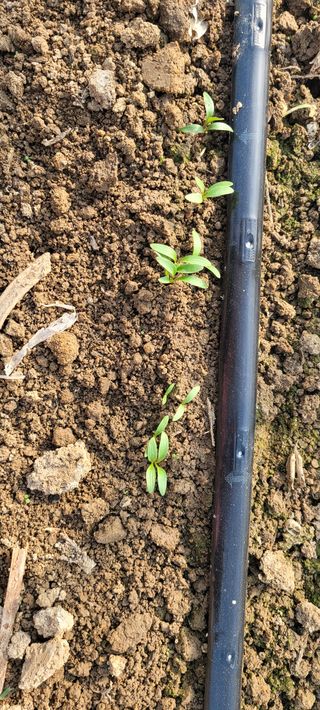 허경애님의 기타작물 · 자유게시판 작성글 사진