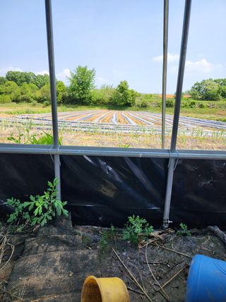 권지연.옥천.님의 기타작물 · 자유게시판 작성글 사진
