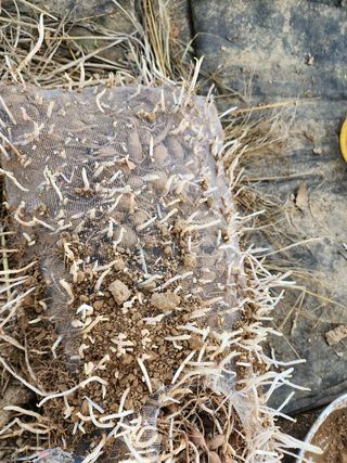 권지연.옥천.님의 기타작물 · 자유게시판 작성글 사진